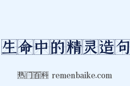 生命中的精灵造句是什么意思的图片